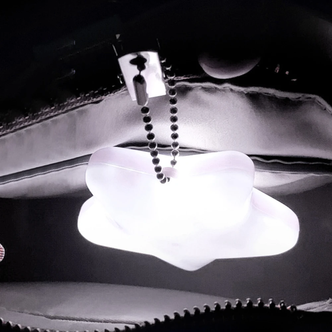 LED Bag Light